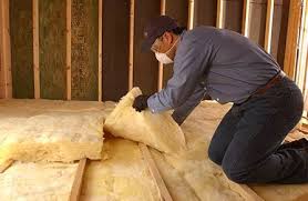 Best Wall Insulation Installation  in Princeton, IL