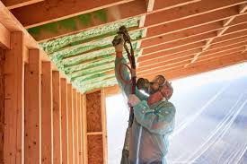 Best Insulation Removal  in Princeton, IL