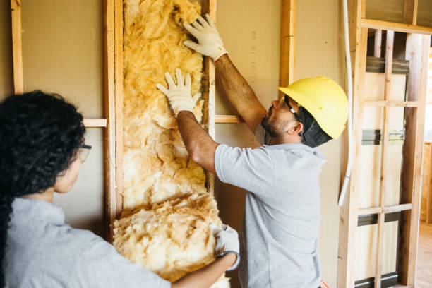 Best Reflective Insulation  in Princeton, IL